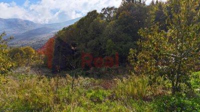 imgcf8a5660-09b5-4763-bcfd-b4cefeb5eed1