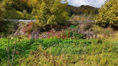 img68c5ef68-10c8-4634-b438-15342767e45f