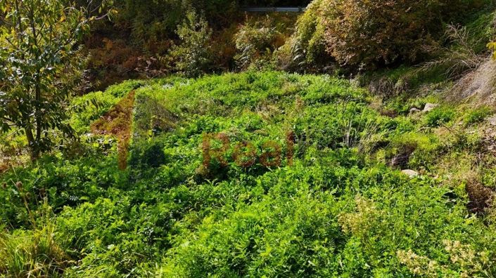 Image No.12-Property for sale