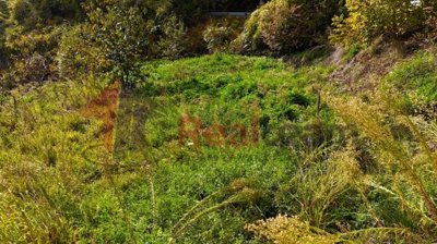 img50b3fa42-81d7-4d6b-a887-f5d98029f802