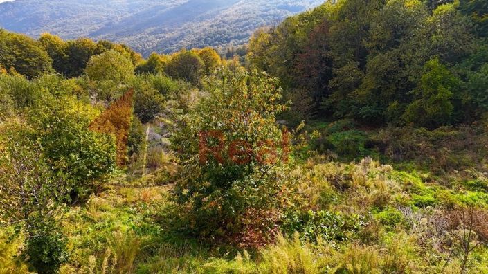 Image No.14-Property for sale