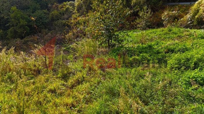 Image No.15-Property for sale