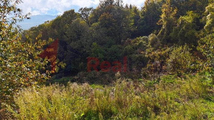 Image No.16-Property for sale