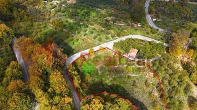 imgd2644ba0-c618-42cc-a449-8b03a041d741