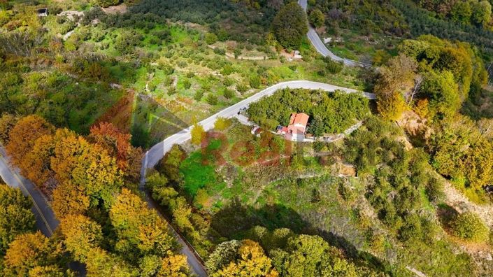 Image No.21-Property for sale