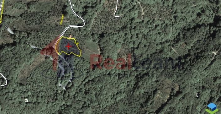 Image No.22-Property for sale