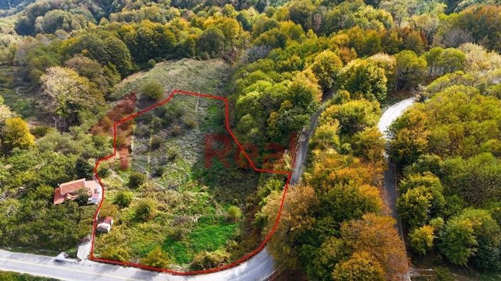 Image No.24-Property for sale