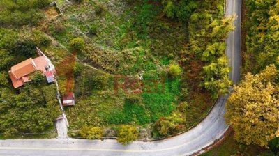 img800feeaf-9f77-4aa4-af47-86bda76ab090