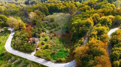 img4b1e0539-f6ba-4935-b1f9-ce9e4790fbb9