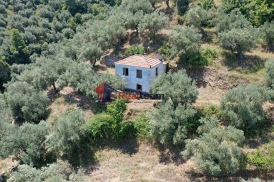 1 - Chora, Property