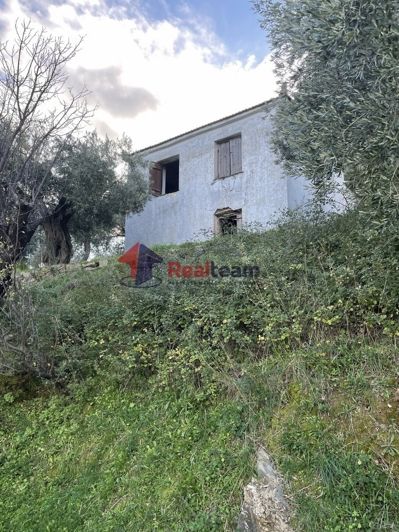 Image No.10-Propriété de 1 chambre à vendre à Chora