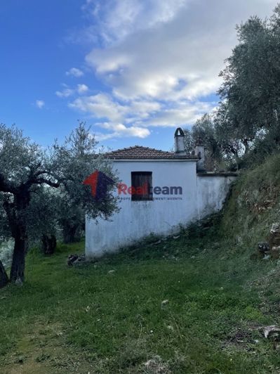 Image No.11-Propriété de 1 chambre à vendre à Chora