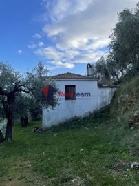 imgab766803-d68c-459b-9375-16a2abf6619e