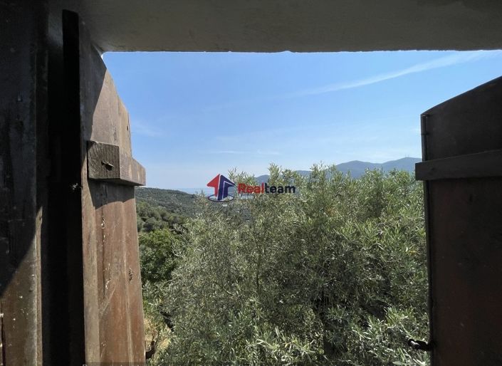 Image No.18-Propriété de 1 chambre à vendre à Chora