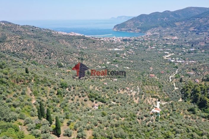 Image No.2-Propriété de 1 chambre à vendre à Chora