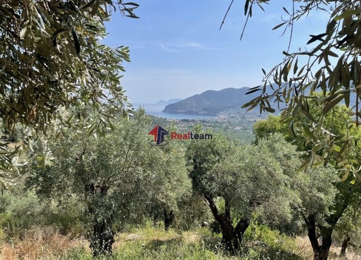 Image No.20-Propriété de 1 chambre à vendre à Chora