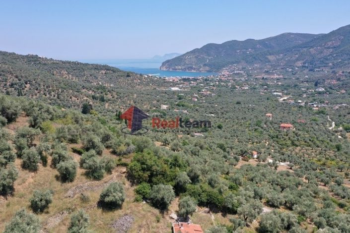 Image No.23-Propriété de 1 chambre à vendre à Chora