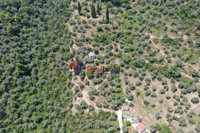 imgae342f9f-ba61-498c-ac70-0b5912c653a9