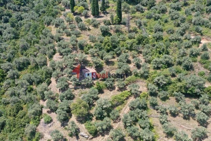 Image No.4-Propriété de 1 chambre à vendre à Chora