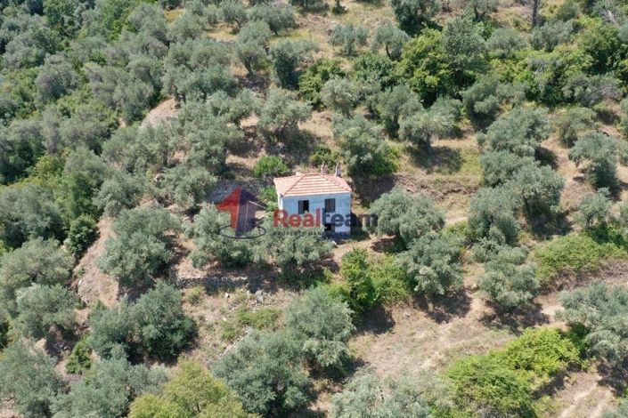 Image No.5-Propriété de 1 chambre à vendre à Chora