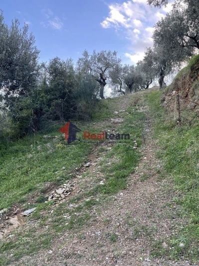 Image No.7-Propriété de 1 chambre à vendre à Chora