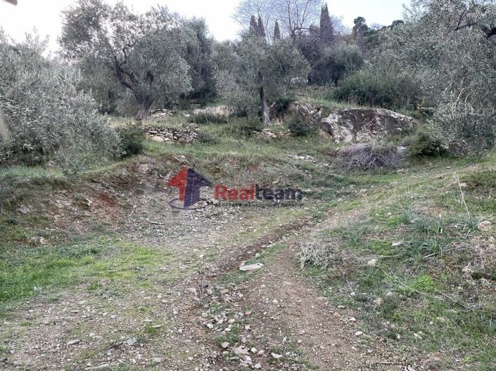 Image No.8-Propriété de 1 chambre à vendre à Chora