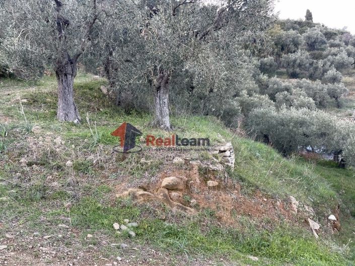 Image No.9-Propriété de 1 chambre à vendre à Chora