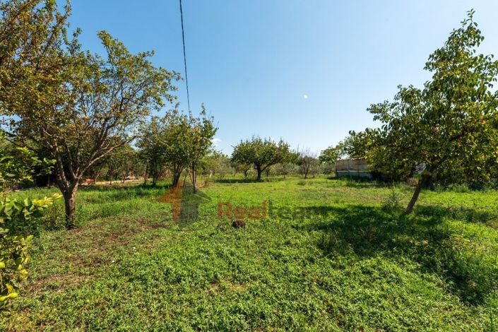 Image No.19-2 Bed Property for sale