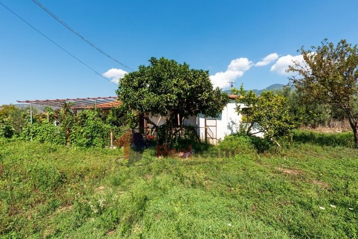 Image No.20-2 Bed Property for sale