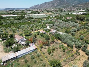 imgf398bfd4-f916-4fe9-b66f-f6b7f165123c