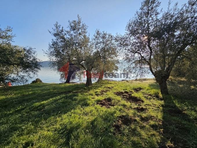 Image No.29-Property for sale