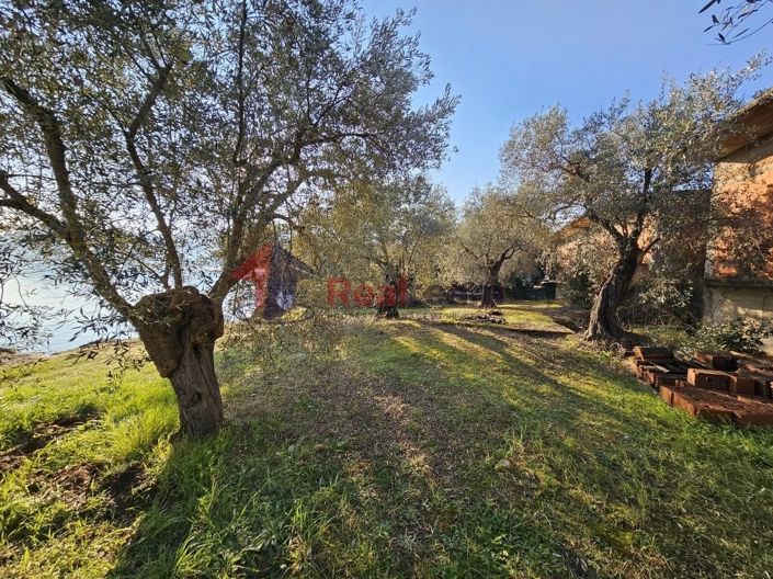 Image No.14-Property for sale