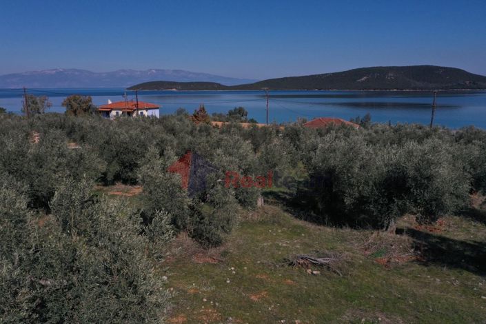 Image No.21-Property for sale