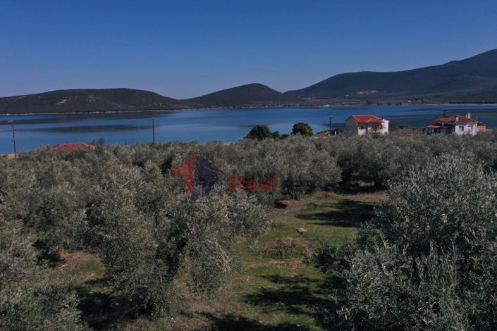 Image No.23-Property for sale