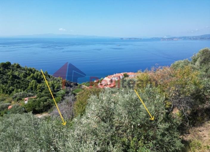 Image No.55-Propriété à vendre à Skopelos