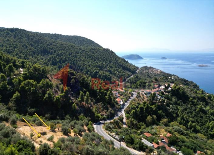 Image No.40-Propriété à vendre à Skopelos