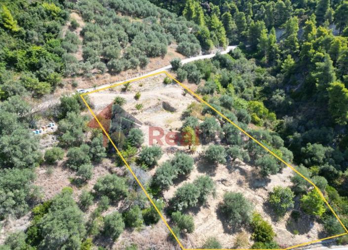 Image No.33-Propriété à vendre à Skopelos