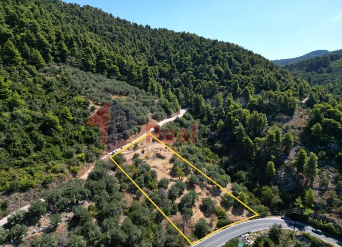 Image No.48-Propriété à vendre à Skopelos