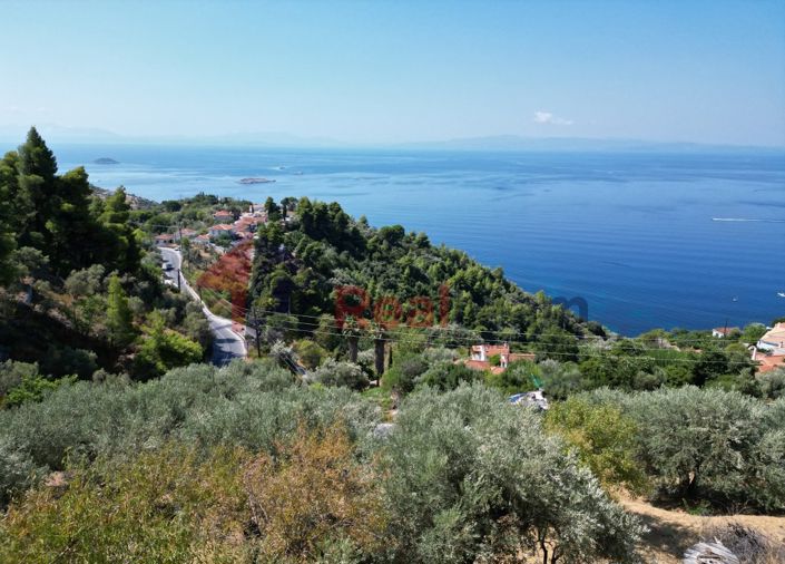 Image No.18-Propriété à vendre à Skopelos