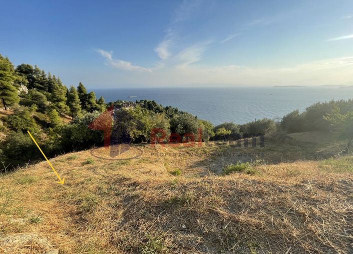 Image No.22-Propriété à vendre à Skopelos