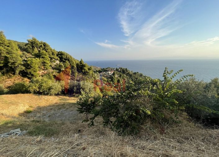 Image No.25-Propriété à vendre à Skopelos