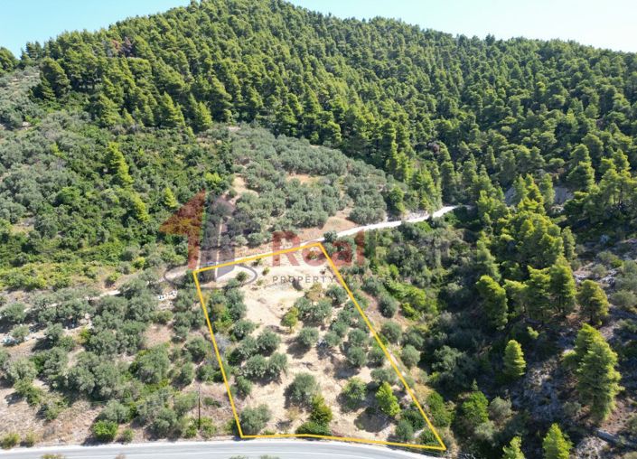 Image No.5-Propriété à vendre à Skopelos