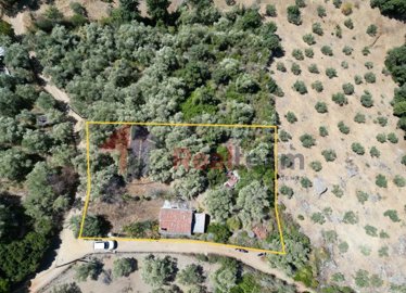 cf7eb98ca2eb459db674947956818a10