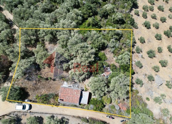 Image No.11-Propriété de 1 chambre à vendre à Skopelos