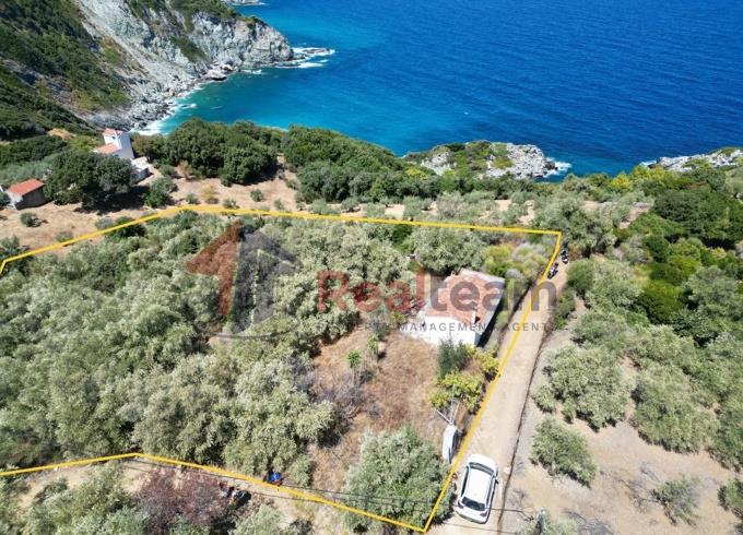 Image No.41-Propriété de 1 chambre à vendre à Skopelos