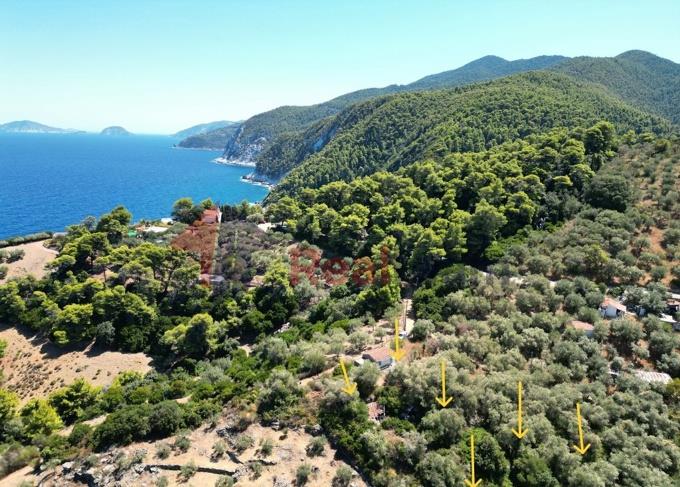 Image No.47-Propriété de 1 chambre à vendre à Skopelos