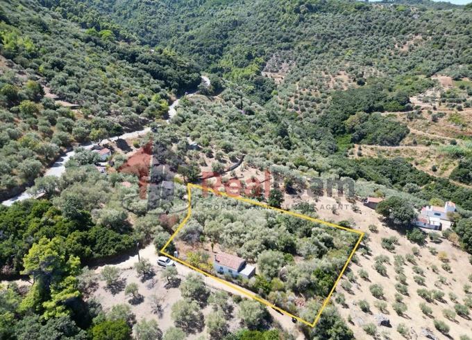 Image No.34-Propriété de 1 chambre à vendre à Skopelos