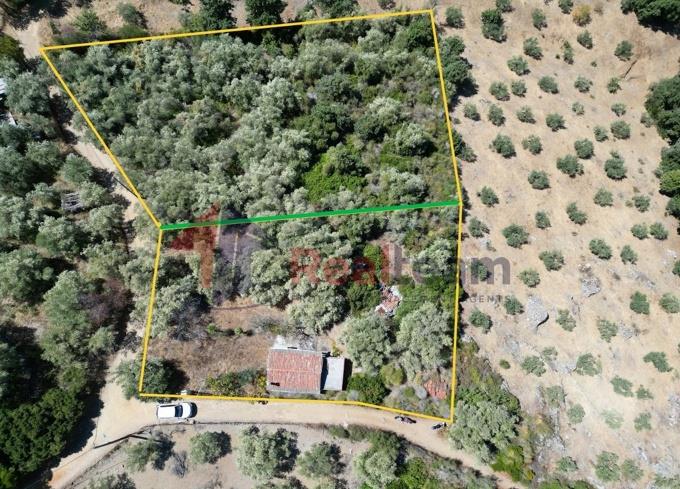 Image No.42-Propriété de 1 chambre à vendre à Skopelos