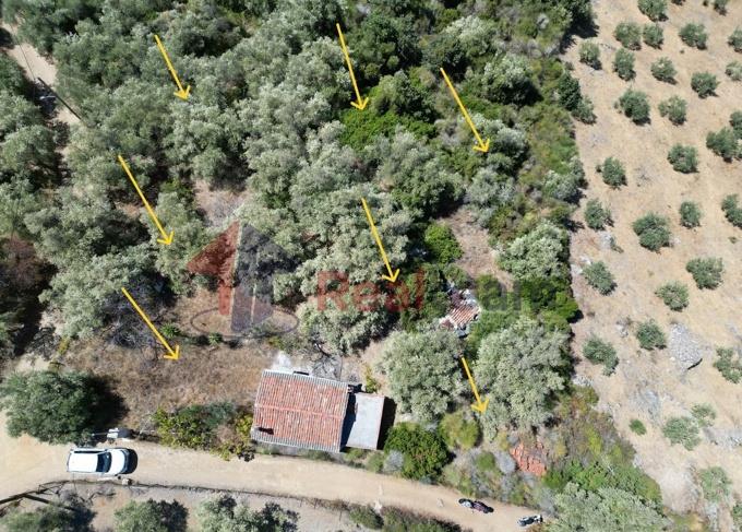 Image No.48-Propriété de 1 chambre à vendre à Skopelos