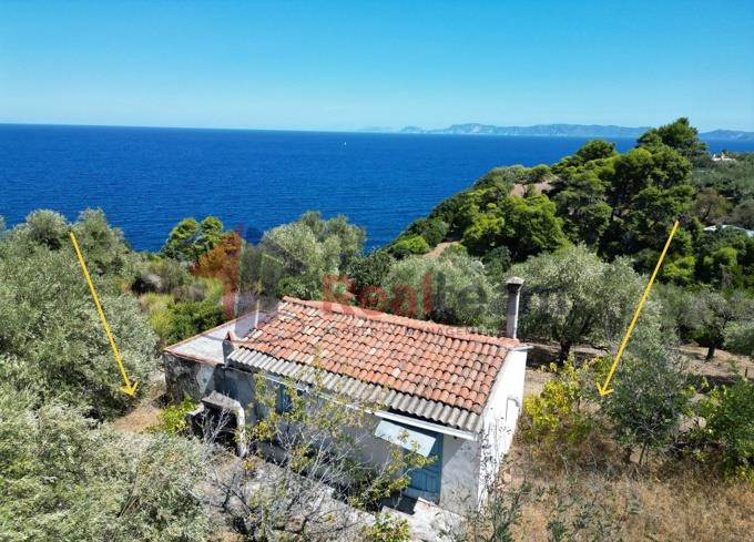 Image No.38-Propriété de 1 chambre à vendre à Skopelos